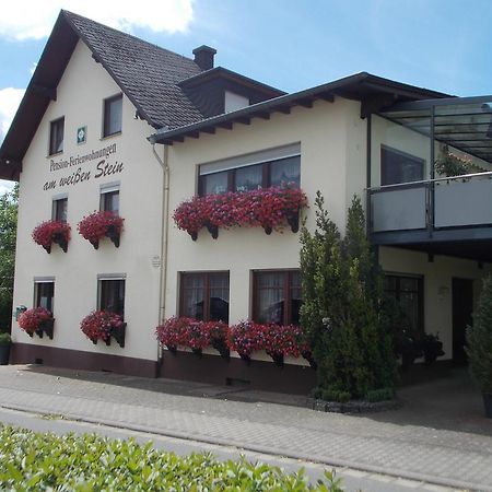 Gaestehaus "Am Weissen Stein" Κόχεμ Εξωτερικό φωτογραφία