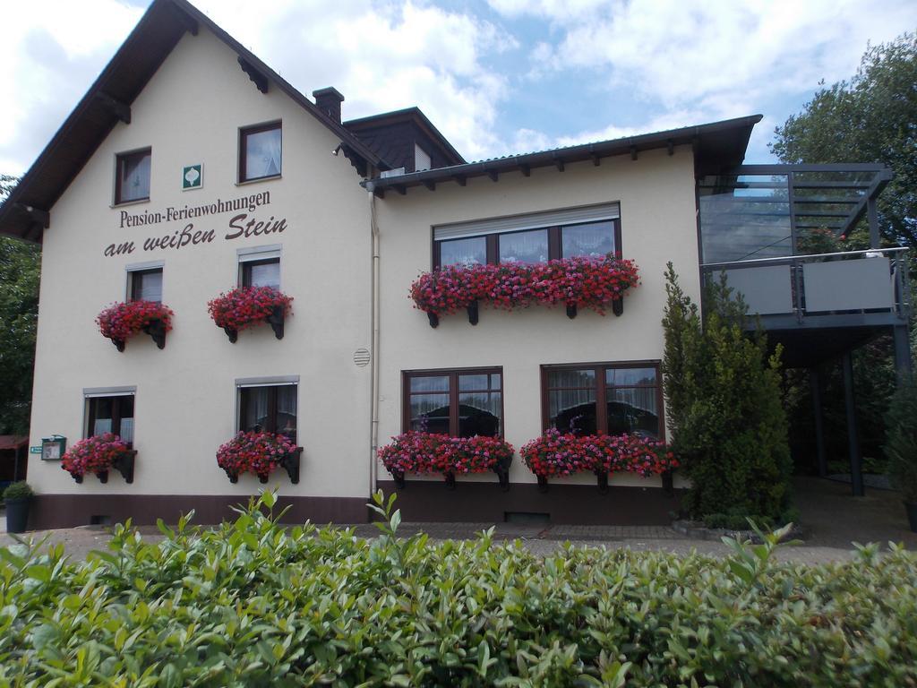 Gaestehaus "Am Weissen Stein" Κόχεμ Εξωτερικό φωτογραφία